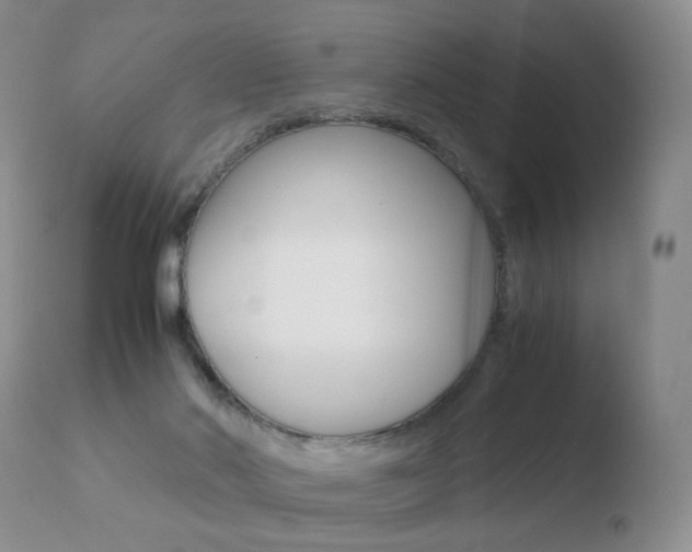 X0000110770022200906151005