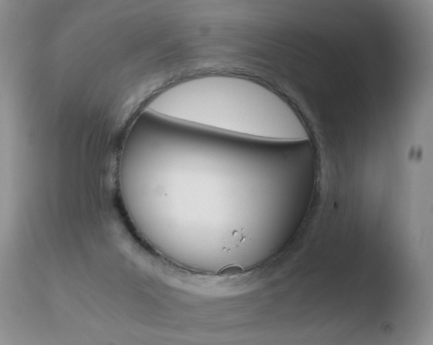 X0000110770023200906151005
