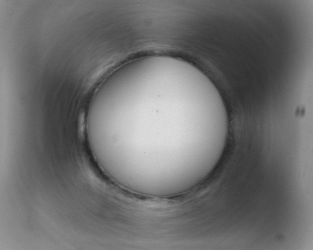 X0000110770024200906151005