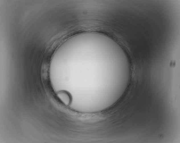 X0000110770026200906151005