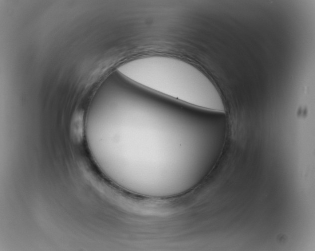 X0000110770028200906151005