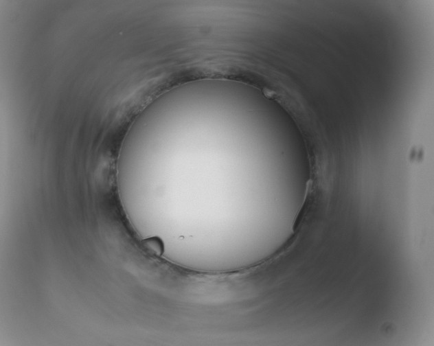 X0000110770029200906151005