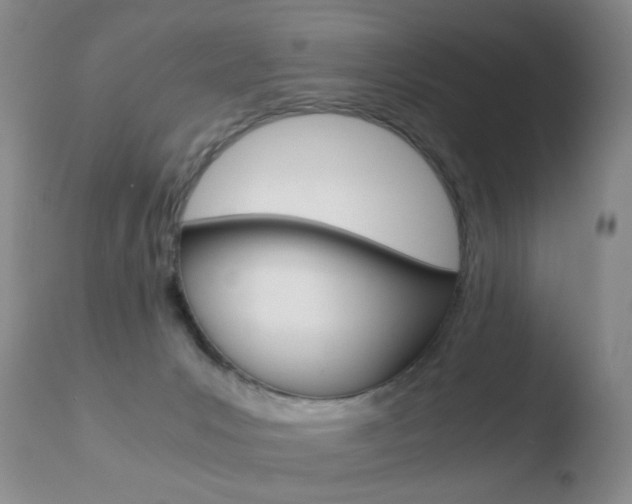 X0000110770031200906151005
