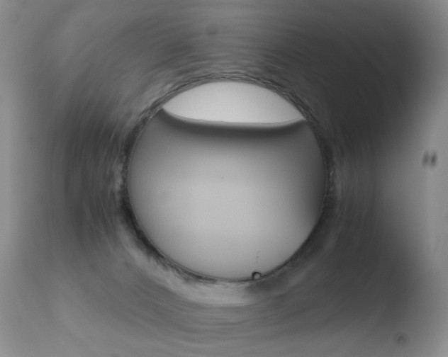 X0000110770032200906151004