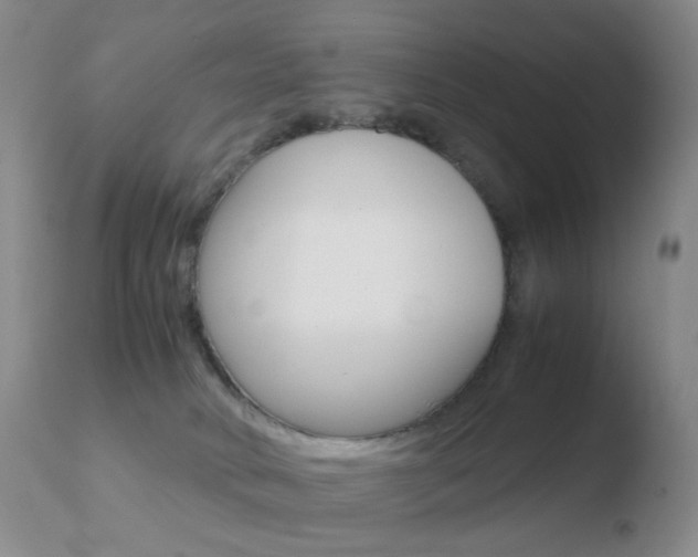 X0000110770034200906151004