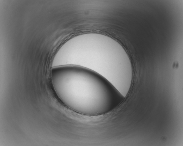 X0000110770035200906151004