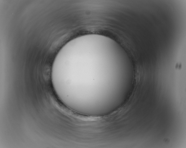 X0000110770036200906151004
