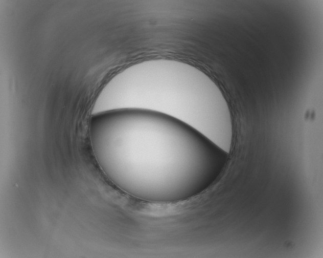 X0000110770037200906151004
