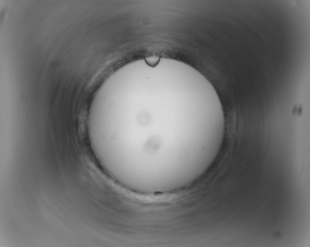 X0000110770038200906151004