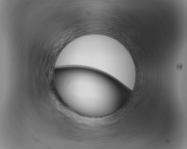 X0000110770039200906151004