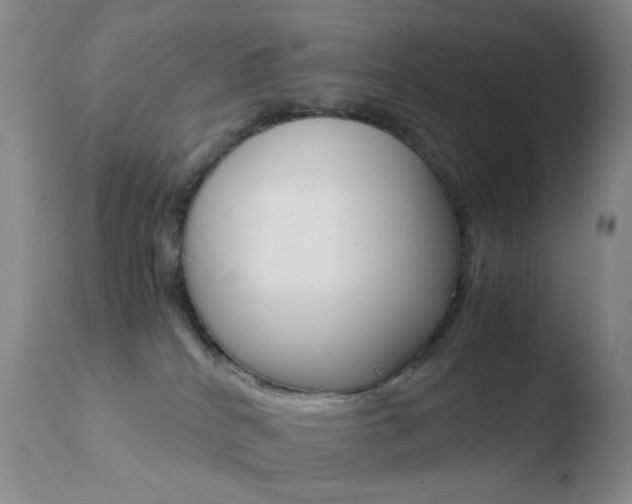 X0000110770040200906151004