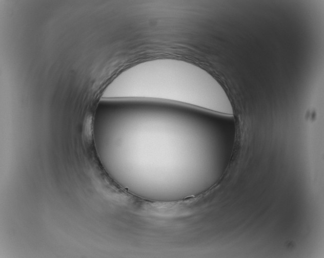 X0000110770041200906151004