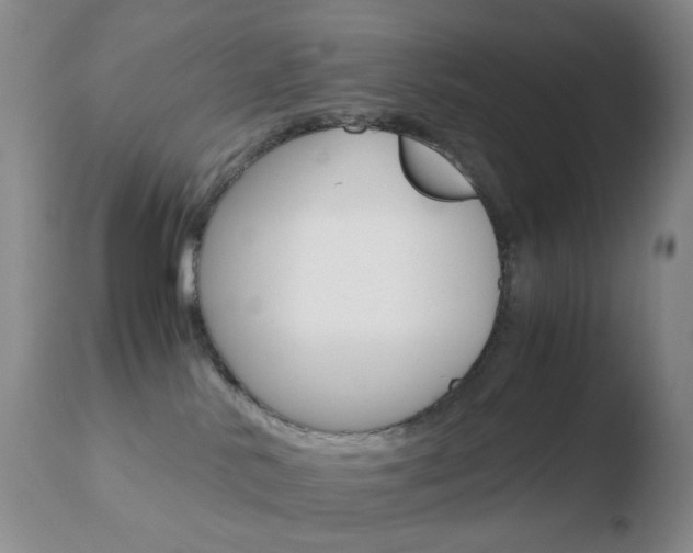 X0000110770042200906151004