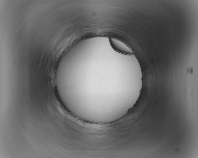 X0000110770044200906151004