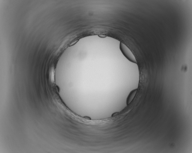 X0000110770046200906151004