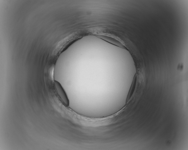 X0000110770047200906151004