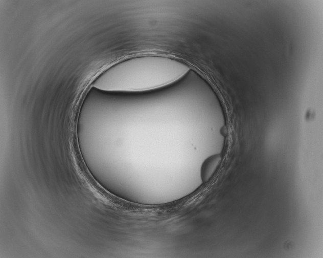 X0000110770049200906151003