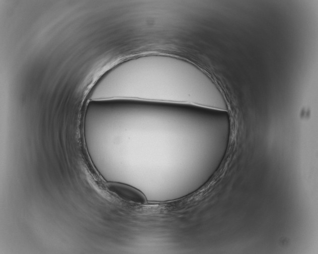 X0000110770050200906151003