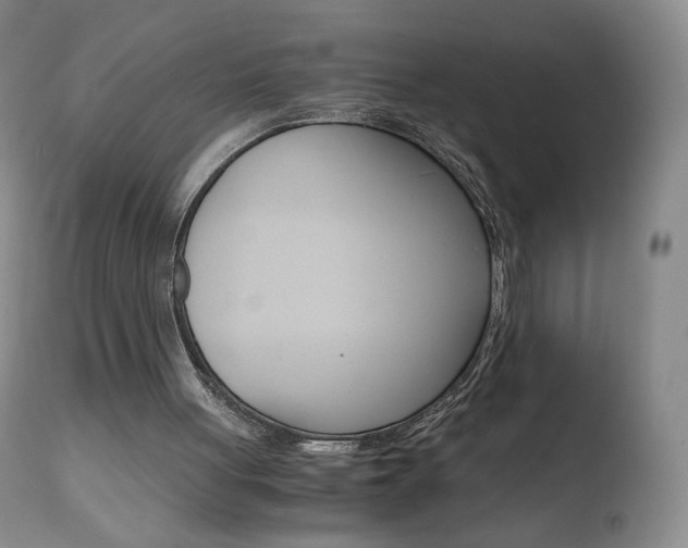 X0000110770051200906151003