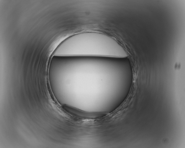 X0000110770052200906151003