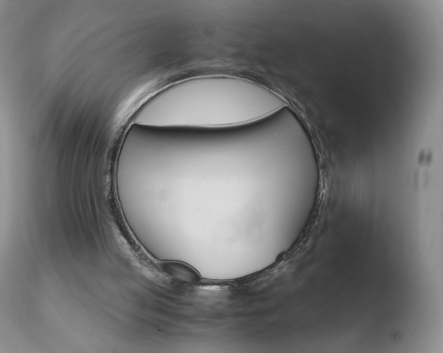 X0000110770053200906151003