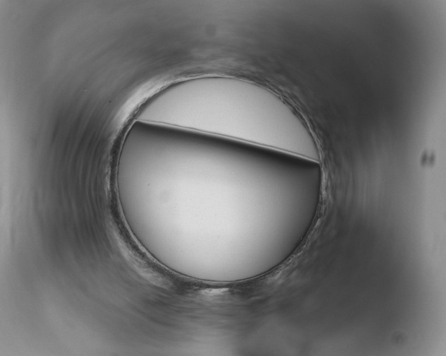 X0000110770054200906151004