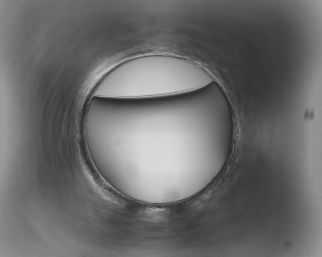 X0000110770055200906151004