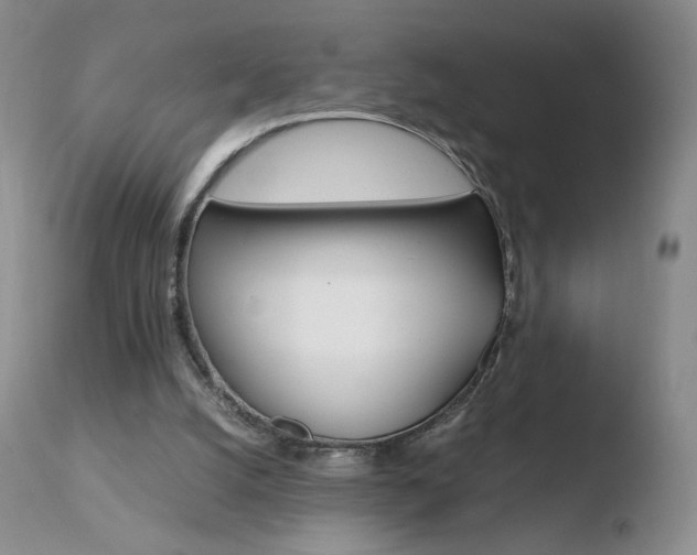 X0000110770056200906151004