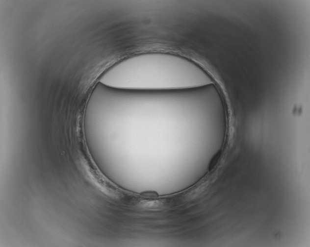 X0000110770057200906151004
