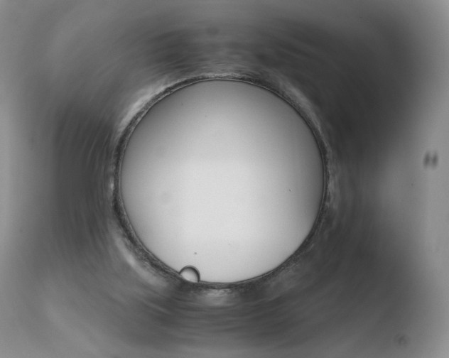 X0000110770059200906151004