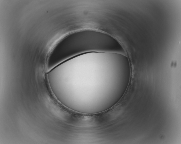 X0000110770060200906151004