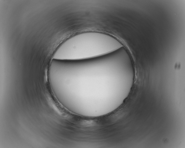X0000110770061200906151004