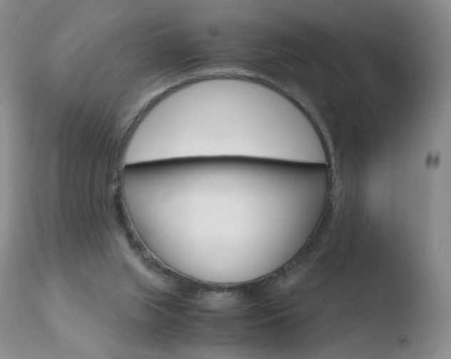 X0000110770063200906151004