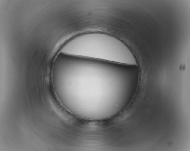 X0000110770064200906151004