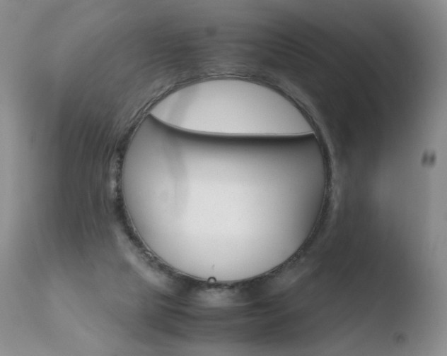 X0000110770065200906151004