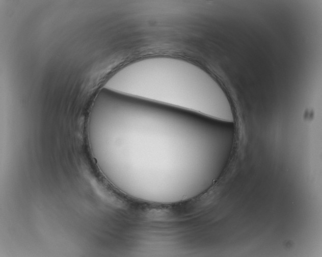 X0000110770066200906151004