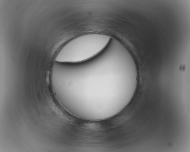 X0000110770067200906151004