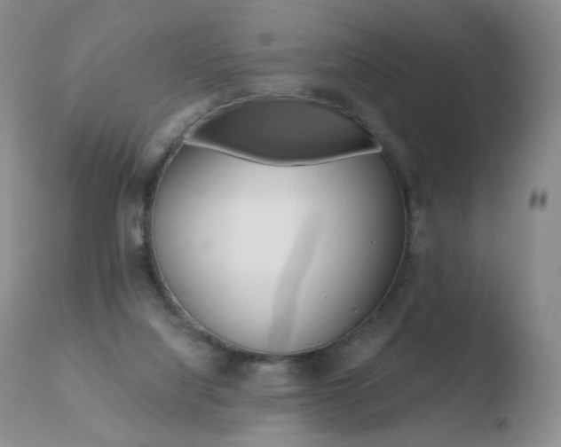 X0000110770068200906151004
