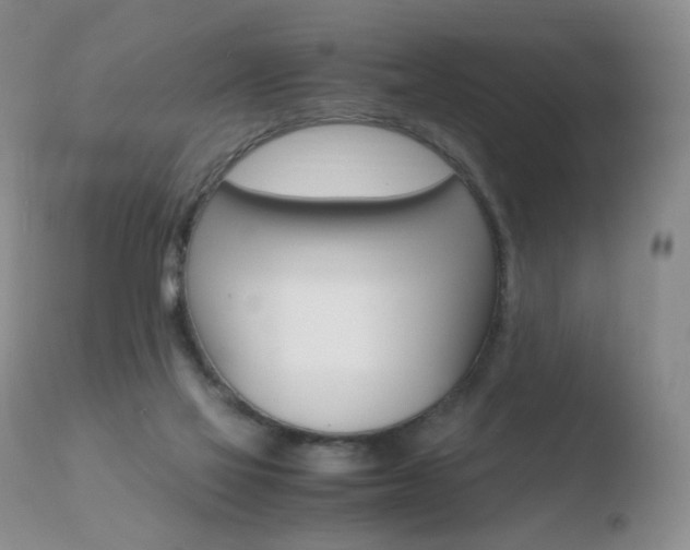 X0000110770069200906151004
