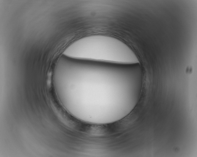X0000110770070200906151004