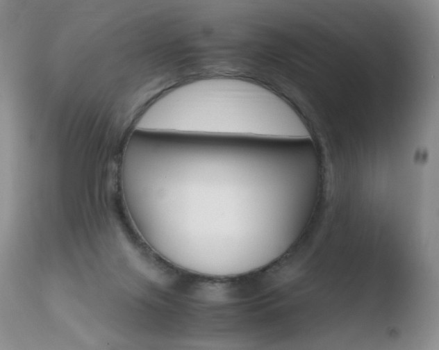 X0000110770071200906151004