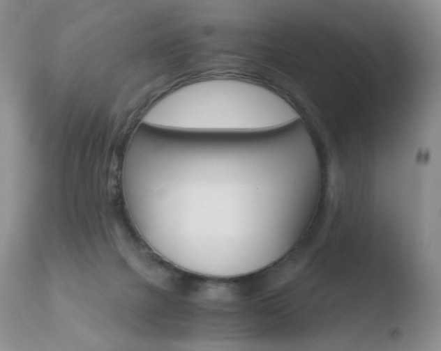 X0000110770073200906151004
