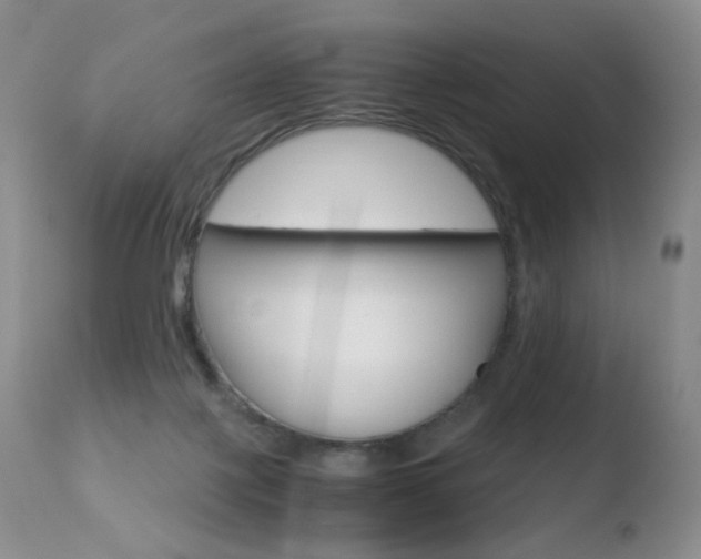 X0000110770075200906151004