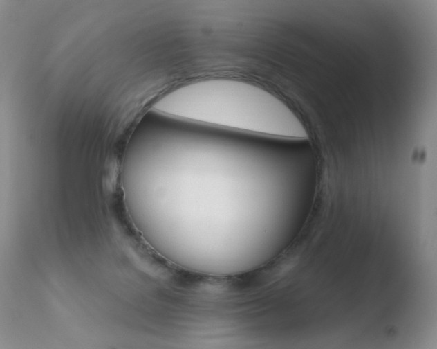 X0000110770076200906151004