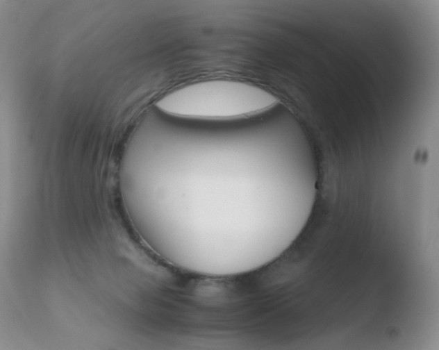 X0000110770077200906151004