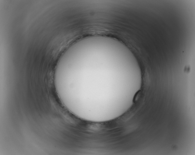 X0000110770079200906151004