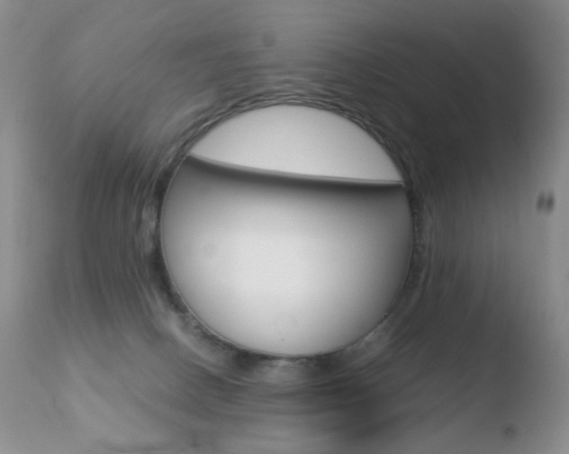 X0000110770082200906151004