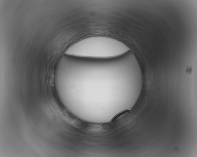 X0000110770083200906151004