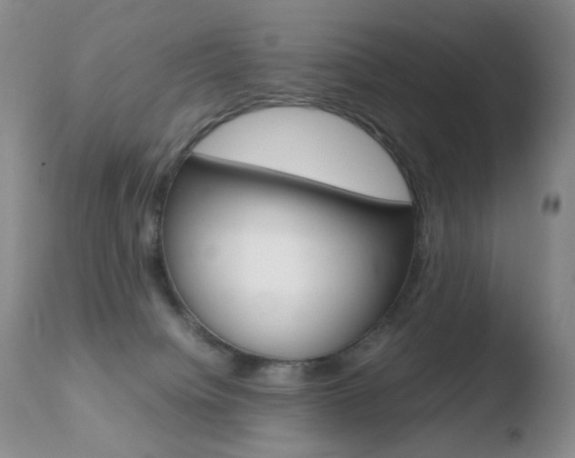X0000110770084200906151004