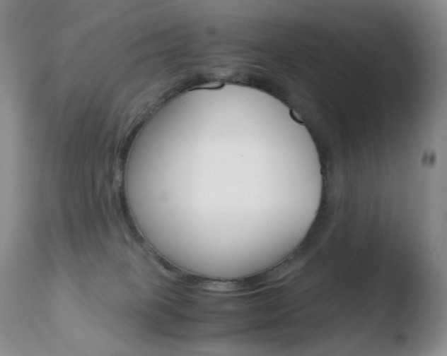 X0000110770085200906151004